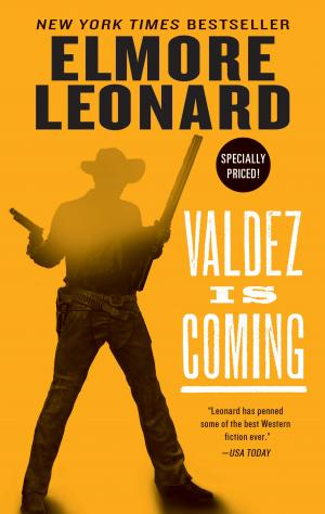 Cover of the book Valdez Is Coming by David Fitzpatrick