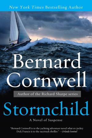 Cover of the book Stormchild by Simon Van Booy