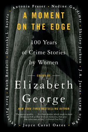 Cover of the book A Moment on the Edge by Scott Spencer