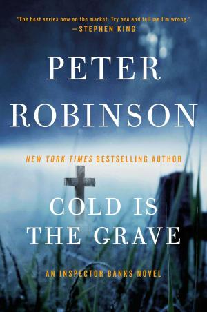 Cover of the book Cold Is the Grave by Christopher Moore