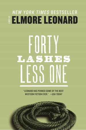 Cover of the book Forty Lashes Less One by J. Lynn