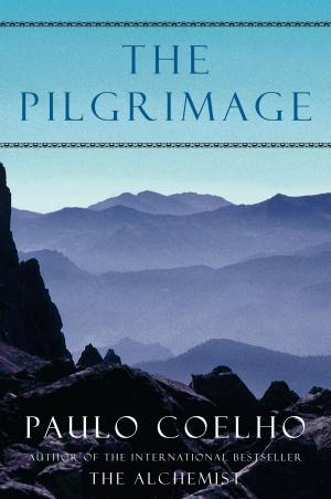 Cover of the book The Pilgrimage by Sarah Anne Shockley