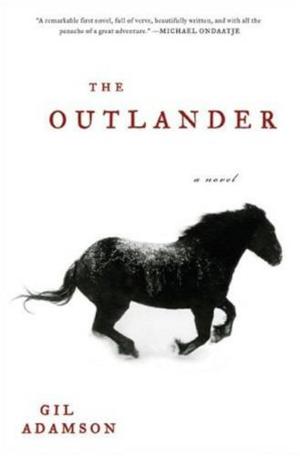 Cover of the book The Outlander by Peter Doggett