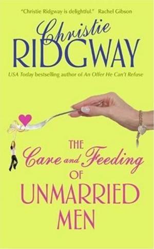 Cover of the book The Care and Feeding of Unmarried Men by Ric Edelman