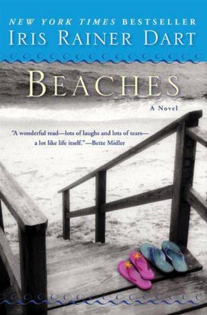 Cover of the book Beaches by Jodi Lipper, Cerina Vincent