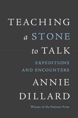 Cover of the book Teaching a Stone to Talk by Maura Moynihan