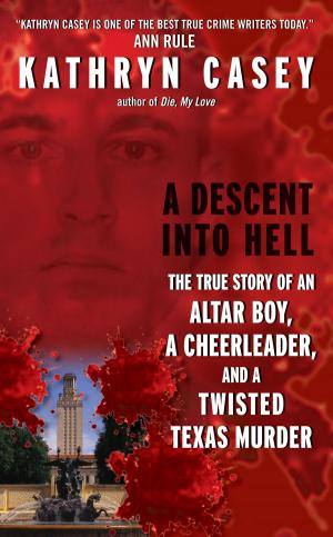 bigCover of the book A Descent Into Hell by 