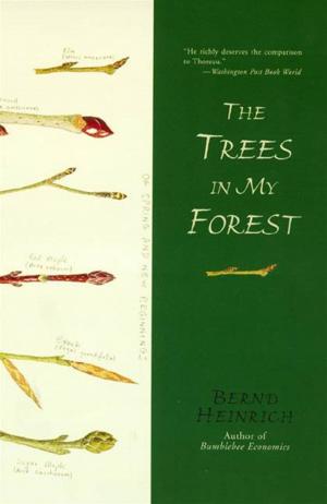 Cover of the book The Trees in My Forest by Reginald Hill