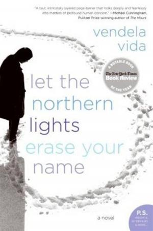 Book cover of Let the Northern Lights Erase Your Name