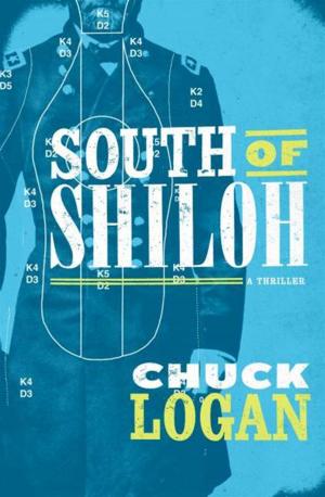 Cover of the book South of Shiloh by Stephen Baxter