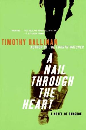 Cover of the book A Nail Through the Heart by Michael J. Rosen