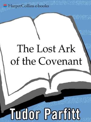 bigCover of the book The Lost Ark of the Covenant by 