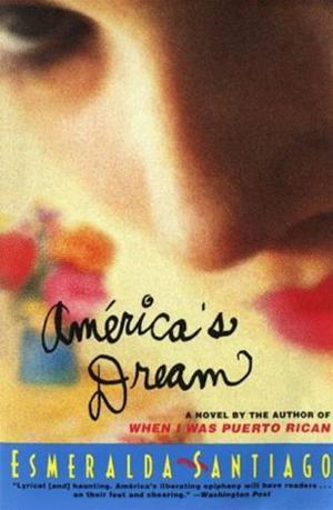 Cover of the book America's Dream by John Baxter