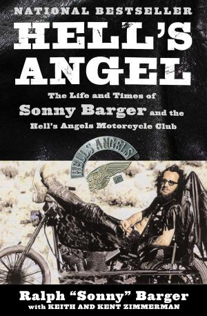 Cover of the book Hell's Angel by Kathleen Weidner Zoehfeld