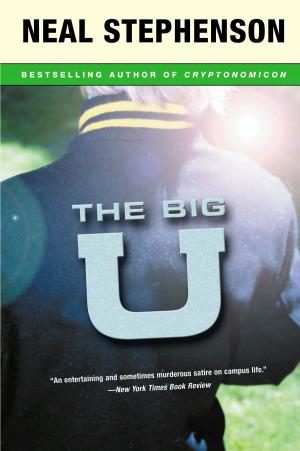 Cover of the book The Big U by Neil Gaiman