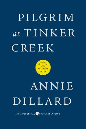 Cover of the book Pilgrim at Tinker Creek by Richard Ankony