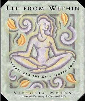 bigCover of the book Lit From Within by 