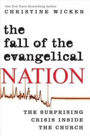 Cover of the book The Fall of the Evangelical Nation by Daniel C. Matt