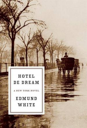 Cover of the book Hotel de Dream by Brad Meltzer