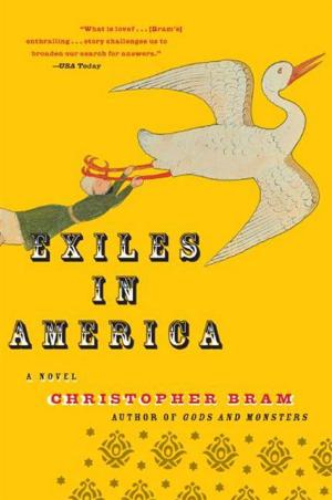 Cover of the book Exiles in America by Barb Johnson