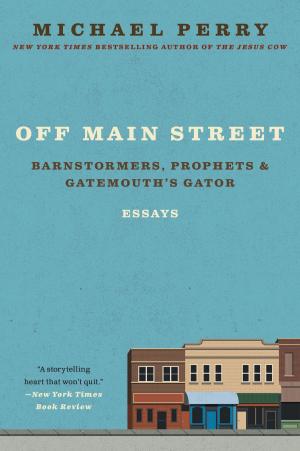 Cover of the book Off Main Street: Barnstormers, Prophets & Gatemouth's Gator by Wendy Dudley
