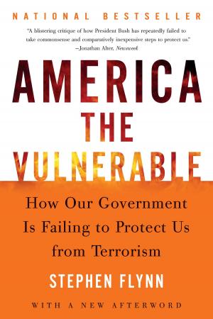 Cover of the book America the Vulnerable by Shirley Damsgaard