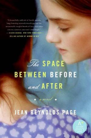 Book cover of The Space Between Before and After