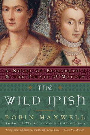 Cover of the book The Wild Irish by Bernard Cornwell