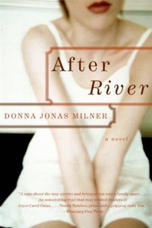 bigCover of the book After River by 