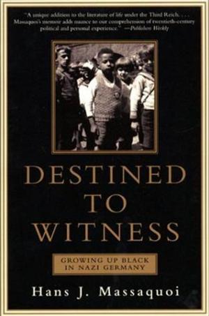 Cover of the book Destined to Witness by Peggy Noonan