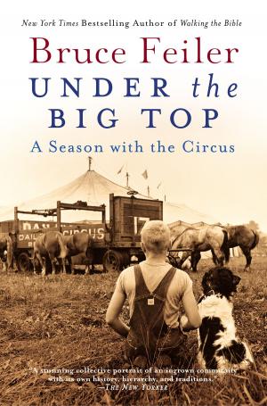 Cover of the book Under the Big Top by Andre Brink