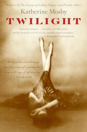 Cover of the book Twilight by Caroline Paul