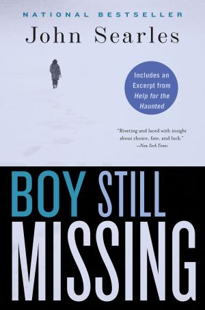 Cover of the book Boy Still Missing by Tamara Gregory