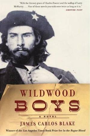 Book cover of Wildwood Boys