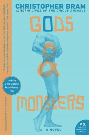 Cover of the book Gods and Monsters by Marianne Stillings
