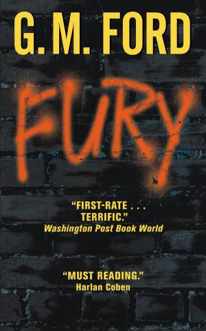 Cover of the book Fury by Marc Cerasini