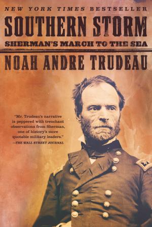 Book cover of Southern Storm