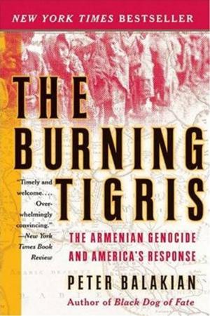 Cover of the book The Burning Tigris by Barb Johnson