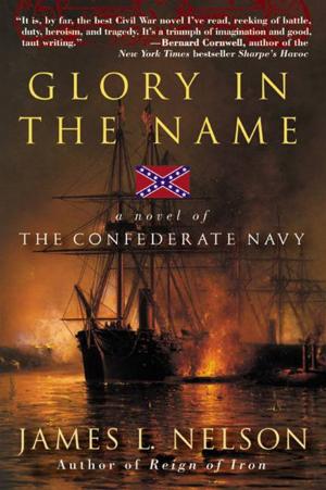Book cover of Glory in the Name
