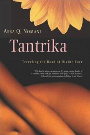 Cover of the book Tantrika by Rob Bell