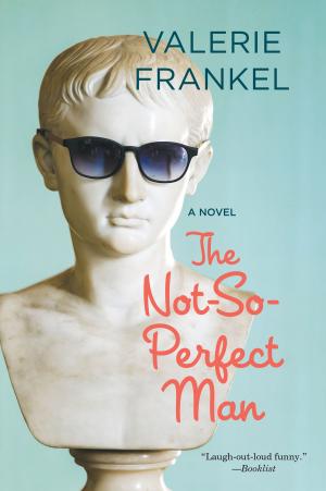 Cover of the book The Not-So-Perfect Man by Annie Dillard