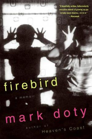 Cover of the book Firebird by James Grippando
