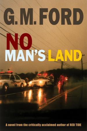 Cover of the book No Man's Land by Dr. Michel Cohen M.D.