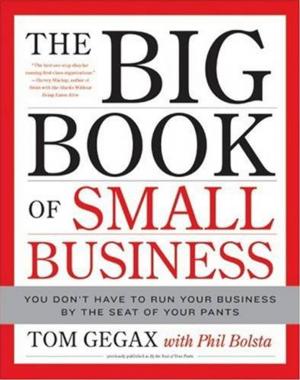 Book cover of The Big Book of Small Business