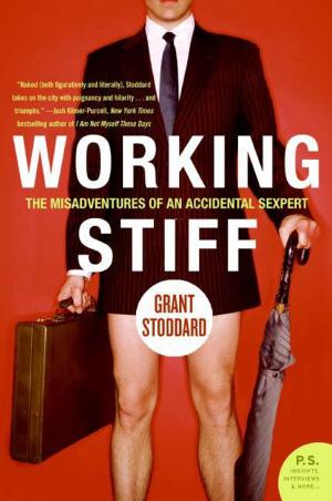 Cover of the book Working Stiff by Frances Pye