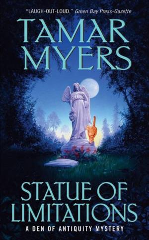 Cover of the book Statue of Limitations by Wendy M Cummins