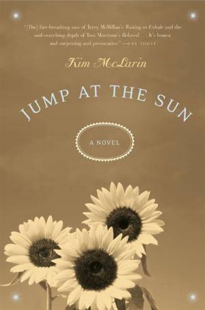 Cover of the book Jump at the Sun by Jerrilyn Farmer
