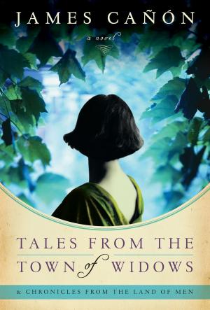 Cover of the book Tales from the Town of Widows by Luanne Jones