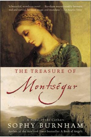 Cover of the book The Treasure of Montsegur by Renee Baron