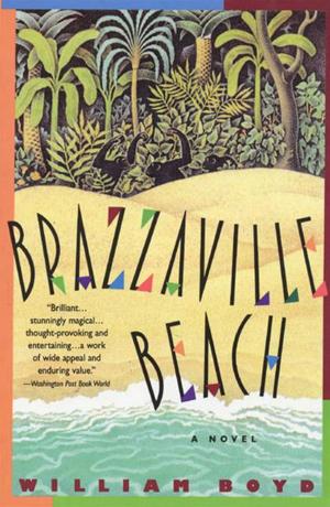 Book cover of Brazzaville Beach